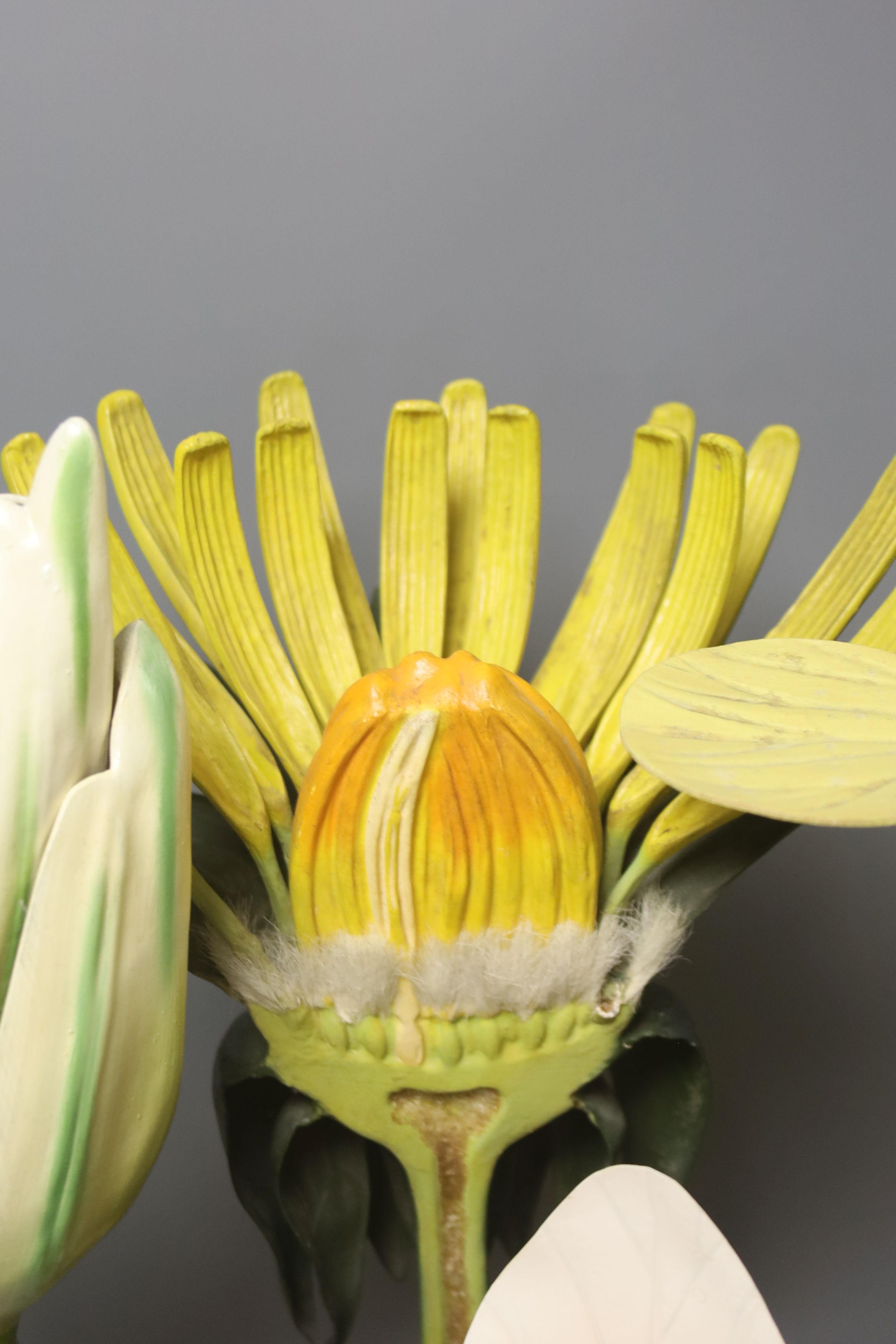 A Group of four 20th century German Brendel botanical specimen / teaching models, assembling models to include Lilium Candidum Lys Fleur, Brassica Cruciferae, Prunus Cesarus and one other, the tallest 51cm high.